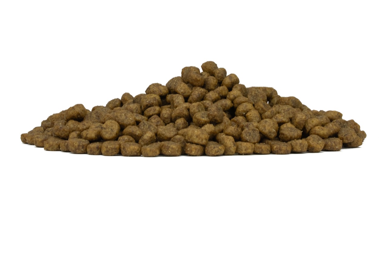 FORZA10　Daily Pro アダルトミニ　小粒　ラム　1.5kg・画像2