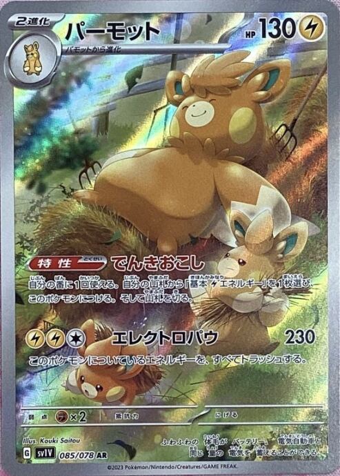 【Bランク】パーモット(AR)