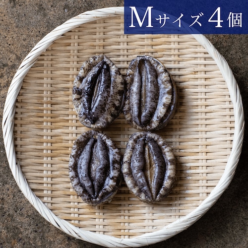 三陸産天然活アワビＭサイズ 4個（約500g）