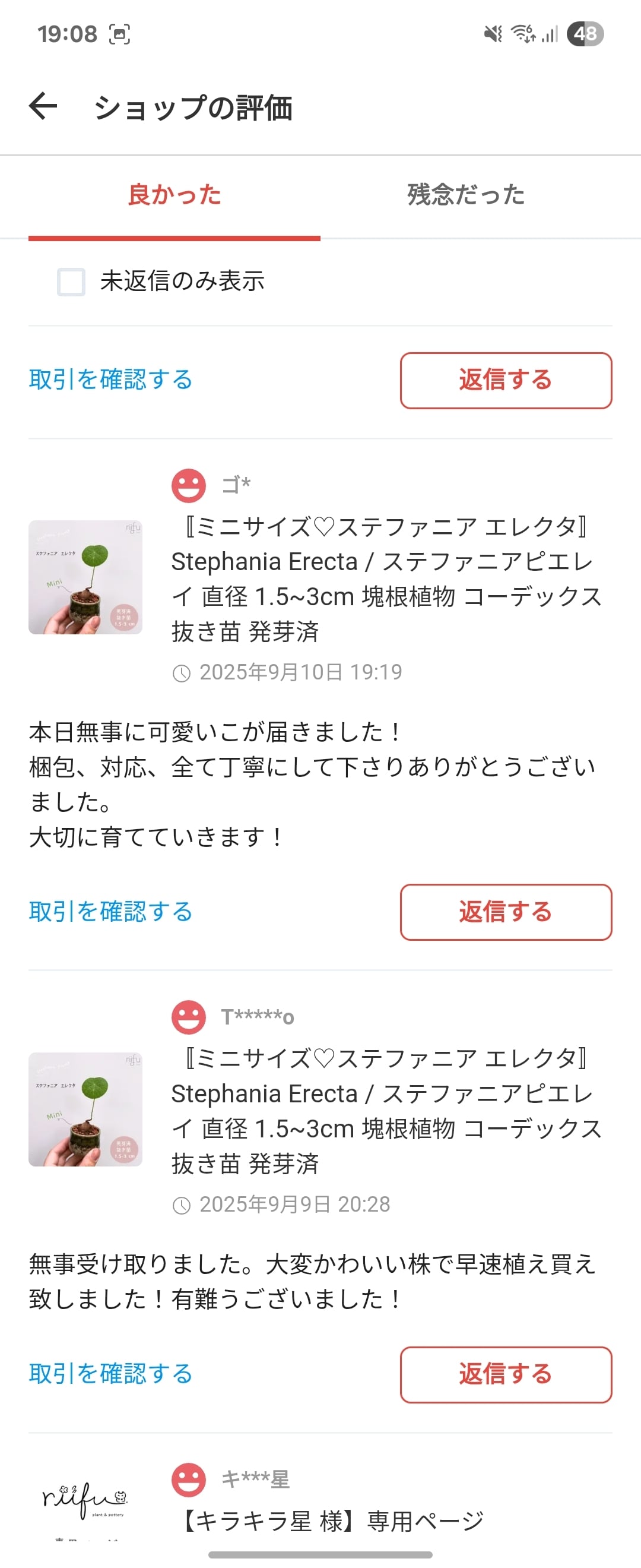 ♡プラポット発送♡〚 大株♡ステファニア エレクタ 〛Stephania