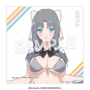 閃乱カグラ	クリーナークロス