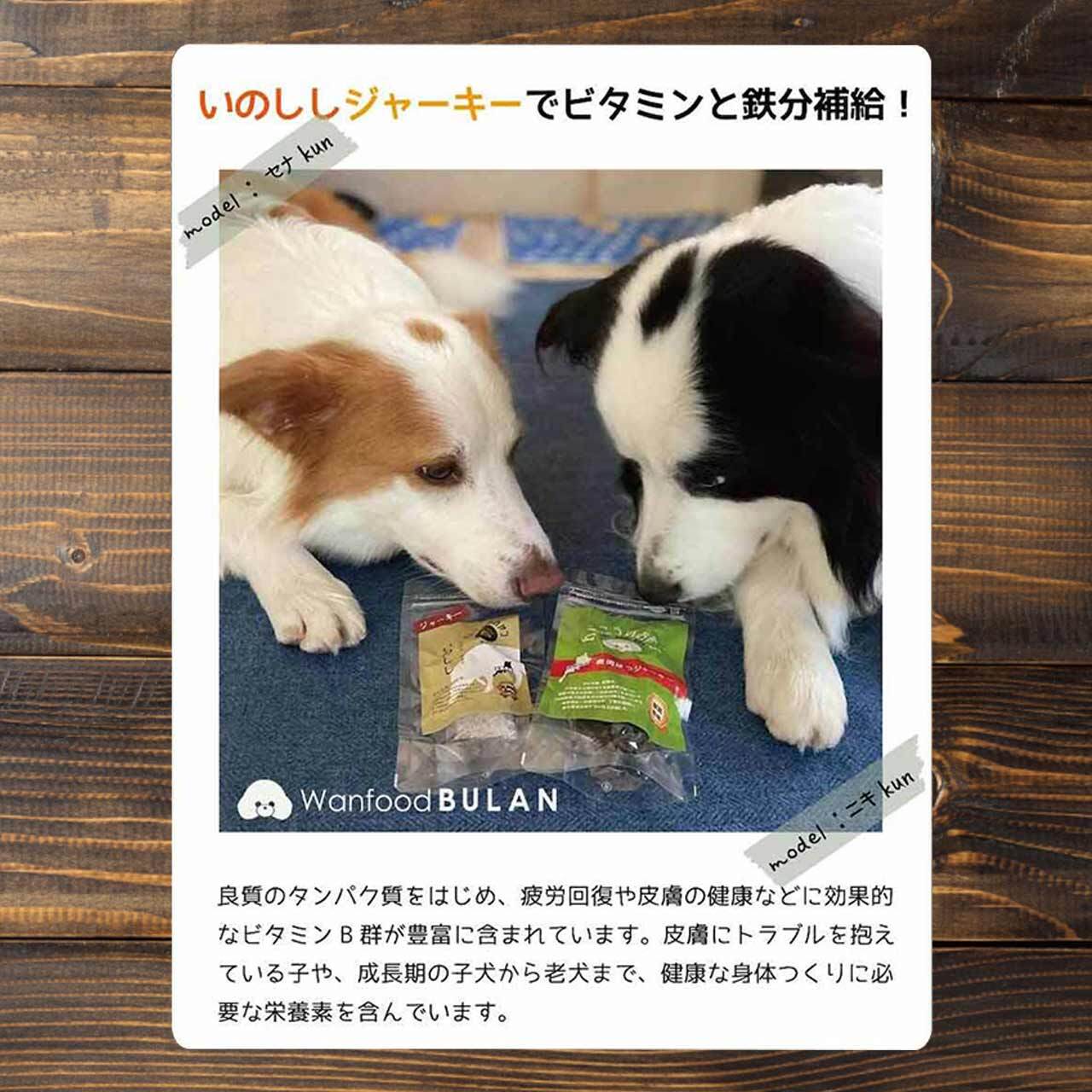 イノシシジャーキー ペット 犬用 50g 10個 送料込み 商品番号：430