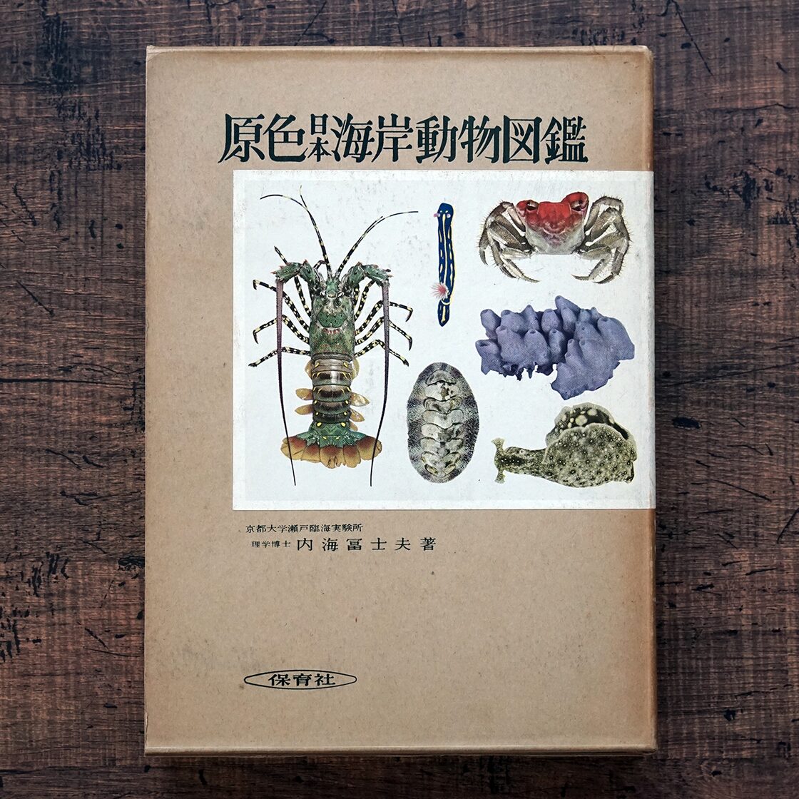 原色日本海岸動物図鑑(保育社の原色図鑑 8) 理学博士 内海富士夫著 