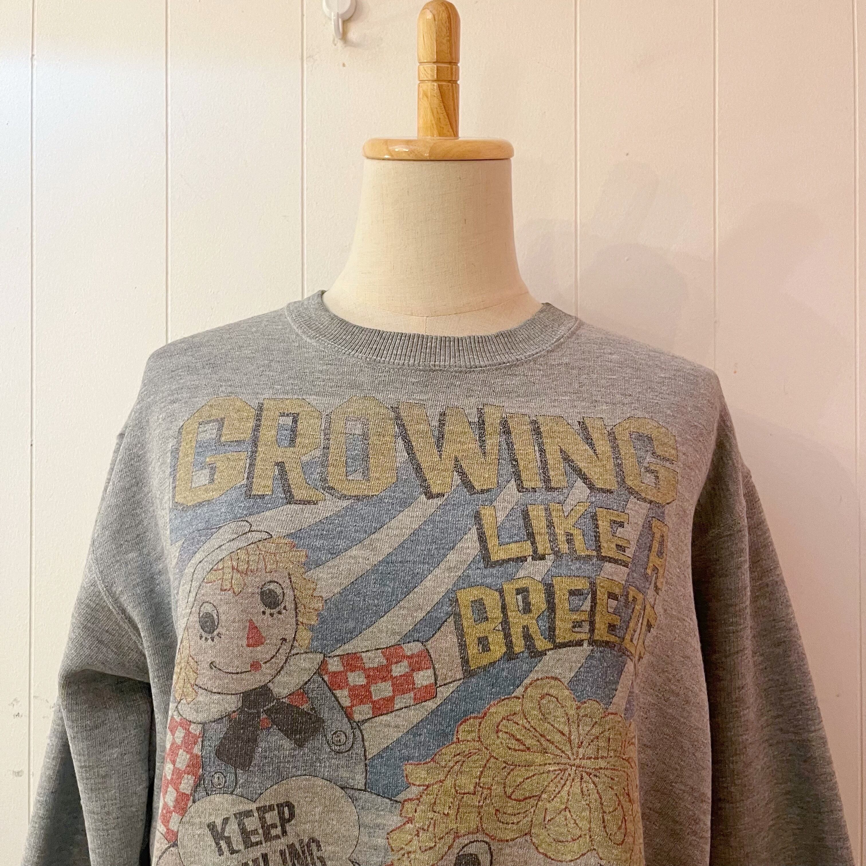 Raggedy ann & andy sweat