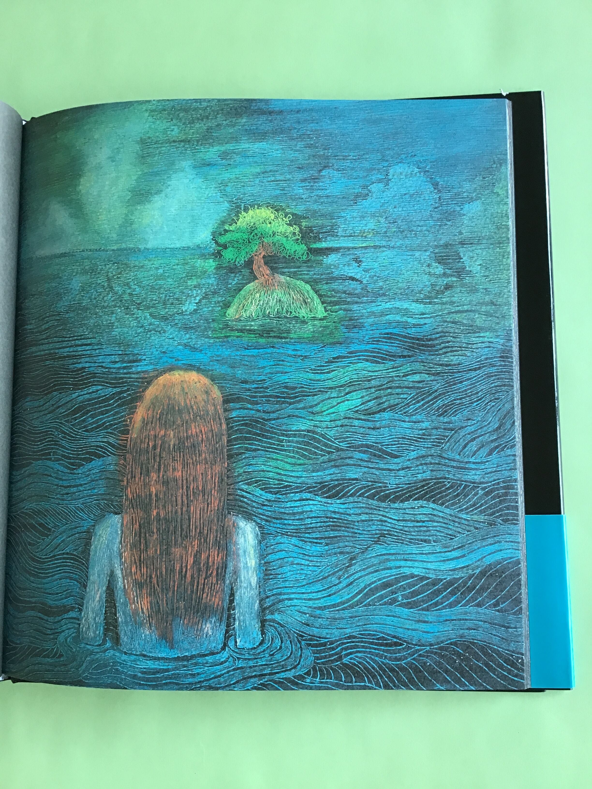 南の島の星の砂 Star Sands in the South Ocean 文 絵 訳 Cocco 河出