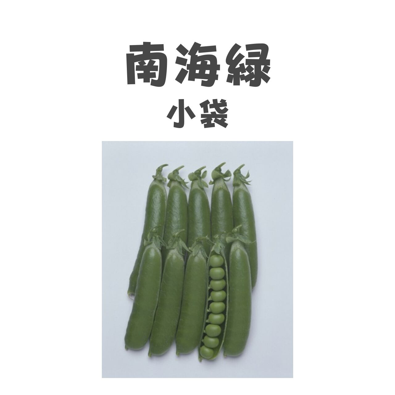 南海緑 エンドウ種子・GF小袋