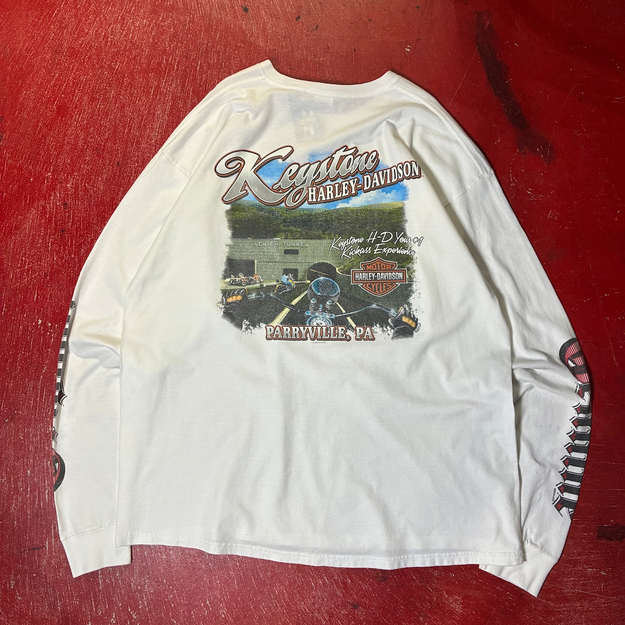 メキシコ製 Harley-Davidson ビッグサイズロンT 袖プリント 白