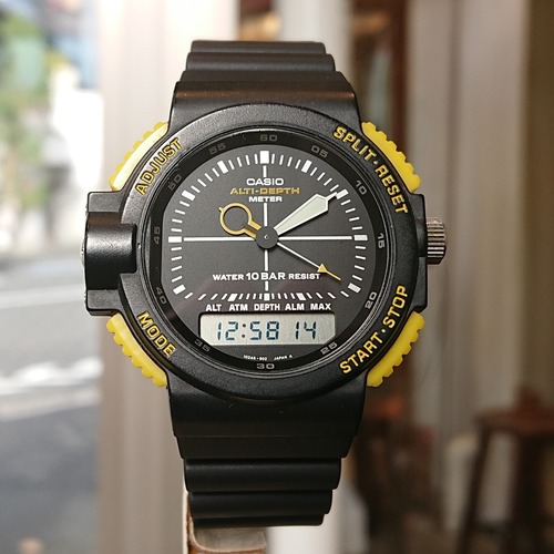 CASIO ARW-320