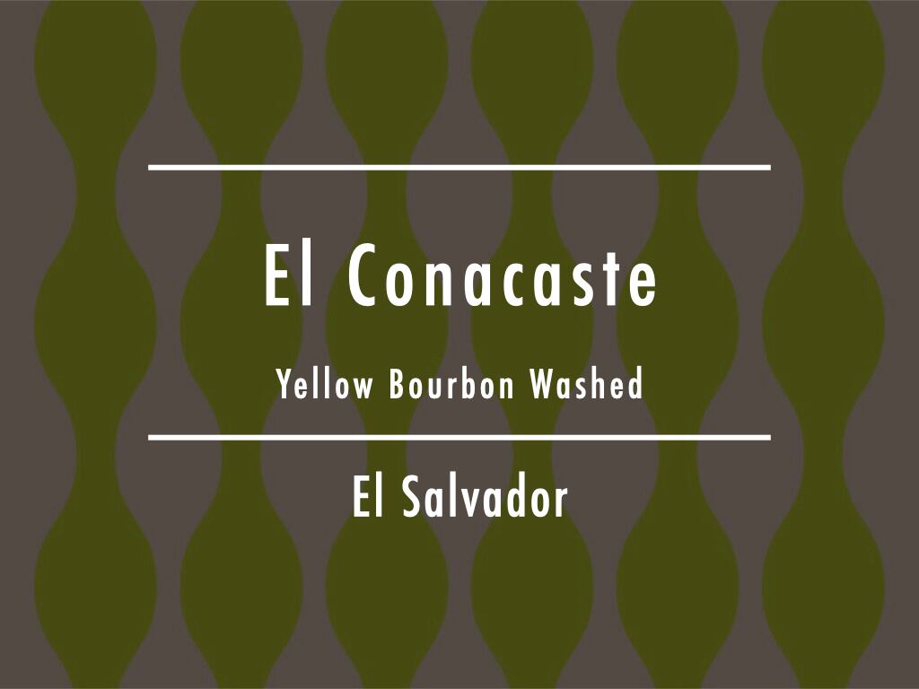 【お得!500g】エルサルバドル / El Conacaste "Yellow Bourbon" Washed