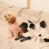TOREOTTO38 DOG KNITVEST / WHITE