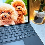在庫わずか/Microsoft Surface pro6/第8世代/メモリ8GB/SSD256GB/タッチパネル式/ノートパソコン