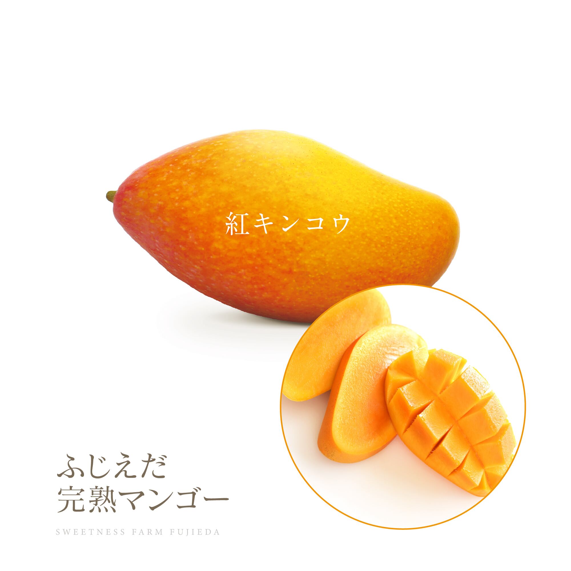 紅キンコウ】なめらか＆激レア超希少！ | ふじえだ完熟マンゴー【通販 