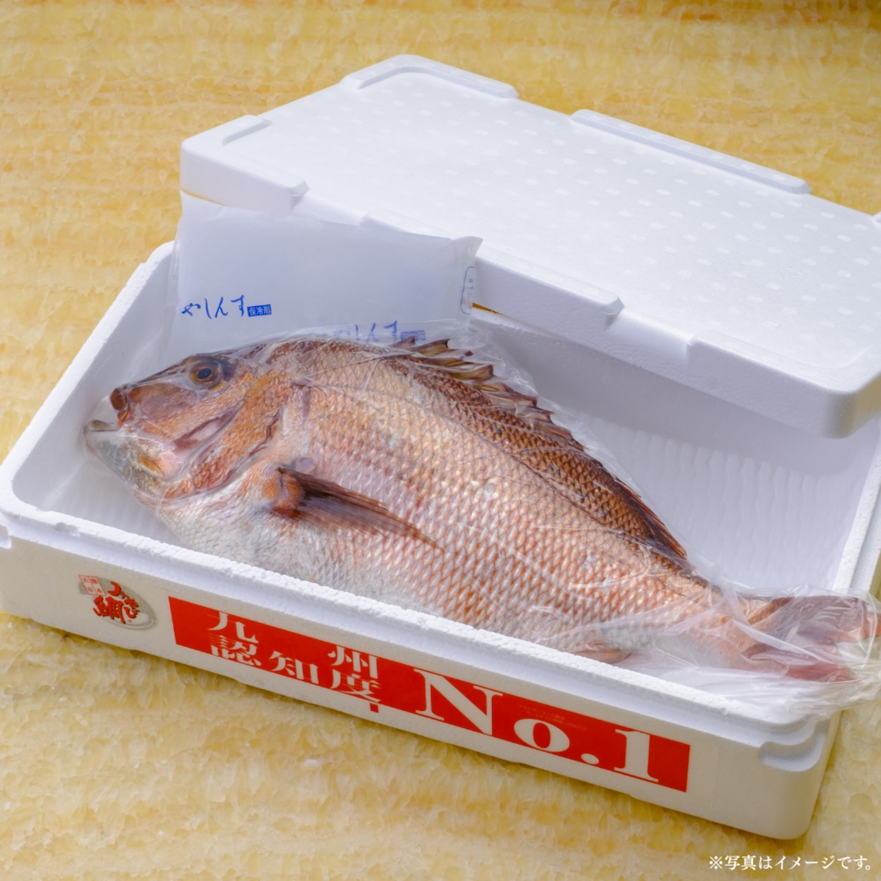 みやび鯛【まるごと1尾セット】