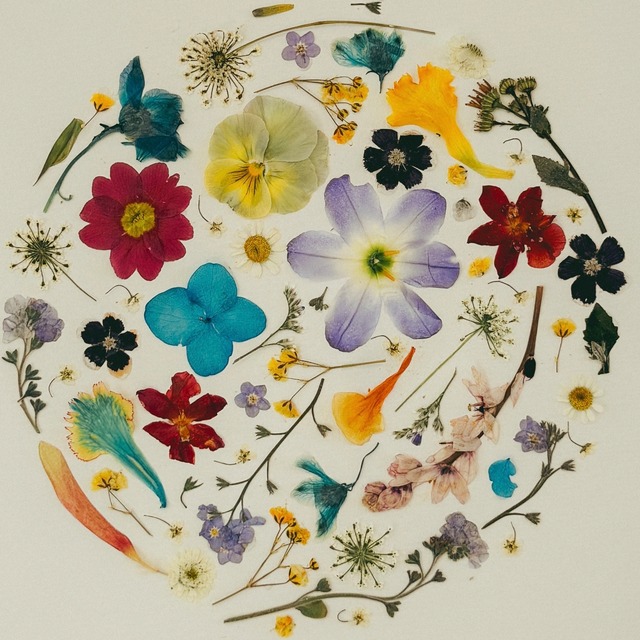 w/Flower お花のクラフト定期便