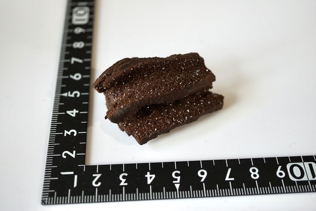 ドイツ産珪化木/クォーツ　Petrified Wood / Quartz　898