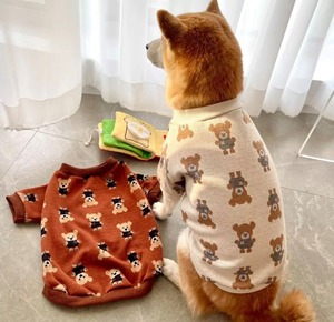 クマさんセーター