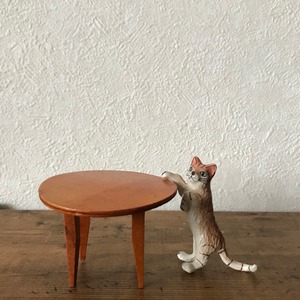 テーブルとネコ