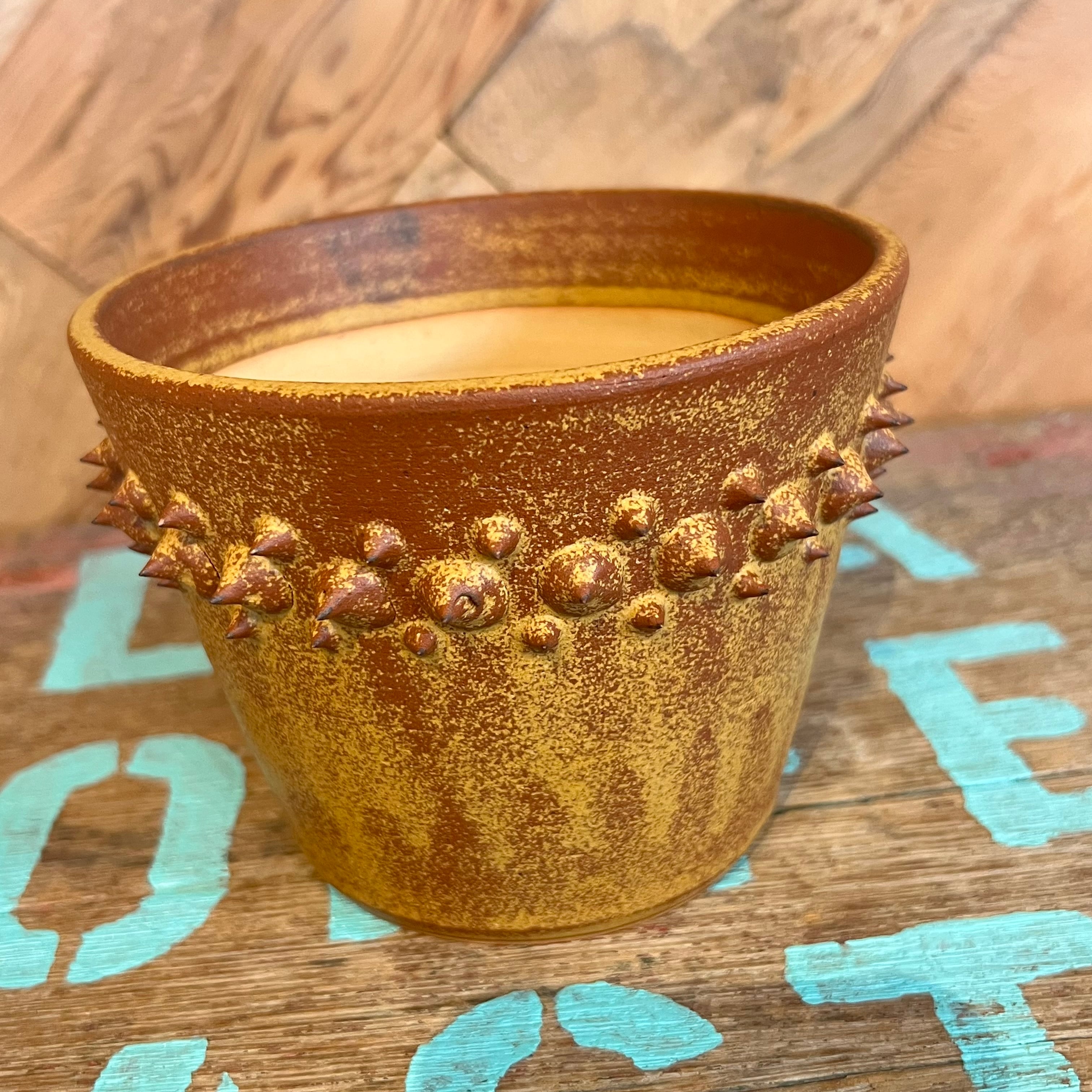 希少 未来薩摩 圭介窯 トゲモノ 08301 | KOBE AGAVE SHOP