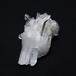 水晶 クラスター 50g  水晶 原石 四川省産 172-1849