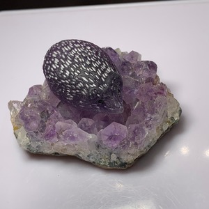 2.ウルグアイ産アメジストクラスターに住み着いているフローライトハリネズミさん