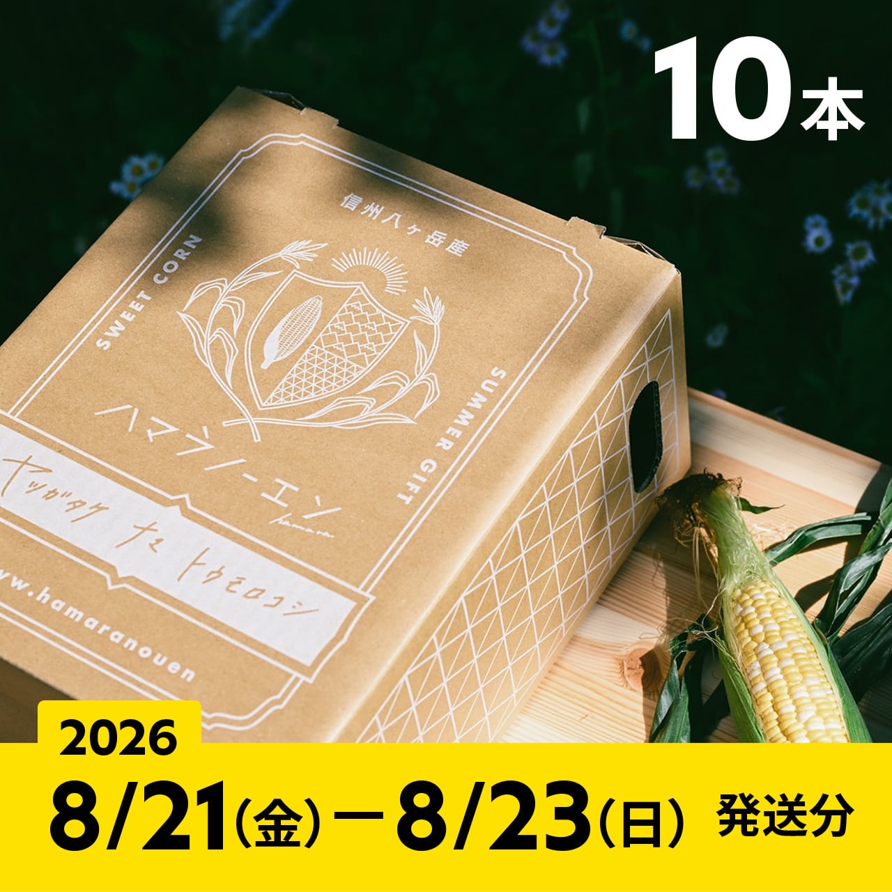 2026【通常予約／10本】八ヶ岳生とうもろこし／ギフトボックス入り／8