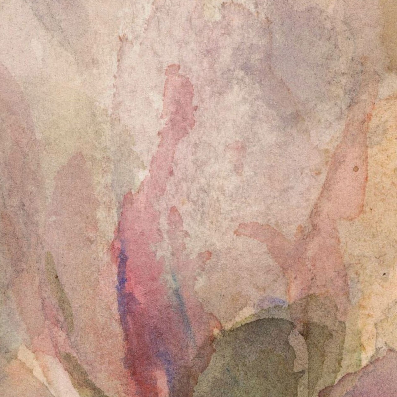 [額縁付き] Verwelkte roos 熟した薔薇 アートポスター 223×223mm 天然木 ポスターフレーム 木製 絵画 日本製 APFS101 - 9