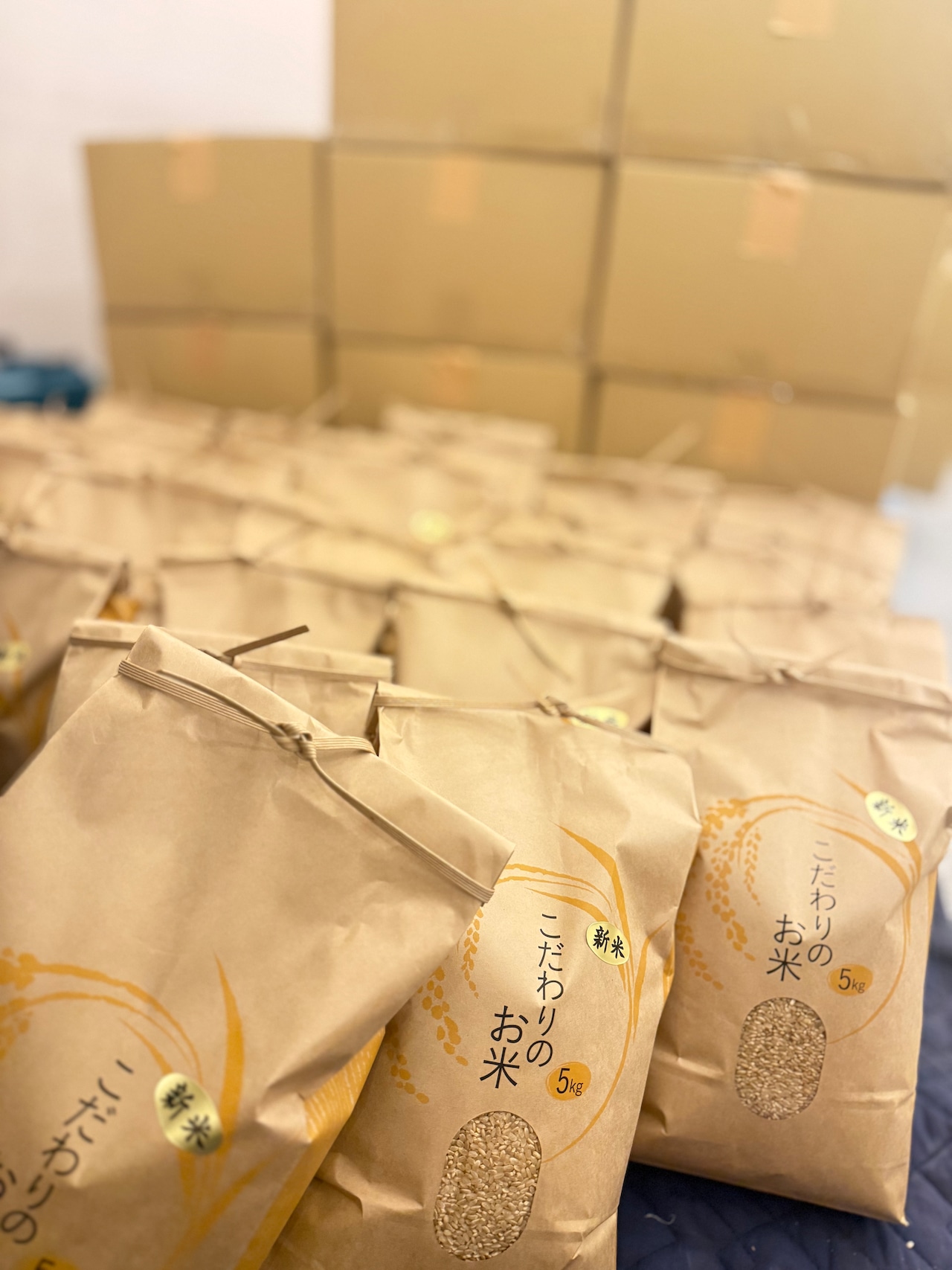 【熊本復興支援】4SET✖️5キロ 復興れんげ米(送料込)