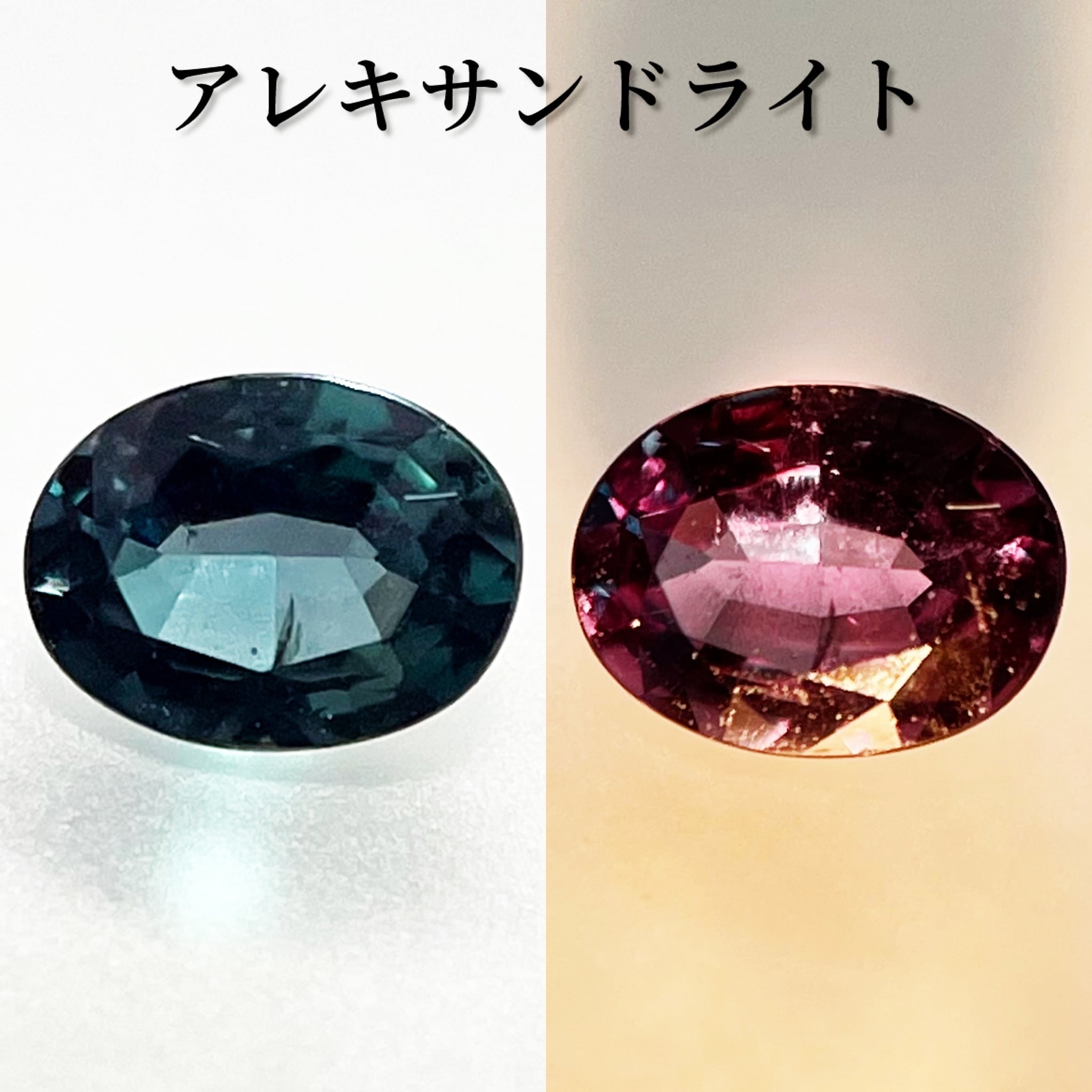 JJ263★高級 アレキサンドライト0.31ct D pt ヘッド 鑑別付 ロシア産アレキサンドライト 0.26ct GIA鑑別書付き | Gemelli