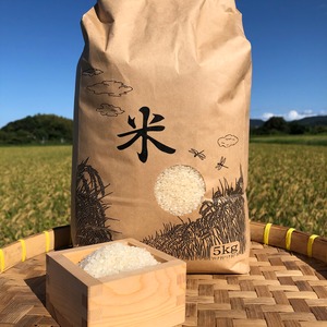 令和5年産 淡路島産 イクヒカリ 5kg(白米)