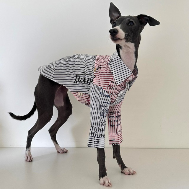 大型犬用　スタイリッシュなシャツ　Y00042