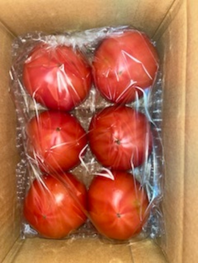 新鮮桃太郎春トマト　６個　袋入り　１㎏以上　８５０円