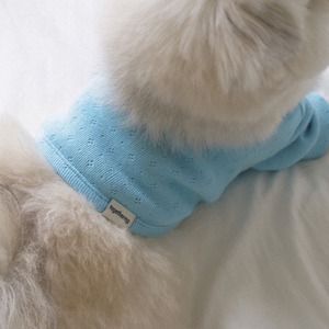 【予約】[ togethering ] Eyelet Crop T-Shirt｜Sky Blue