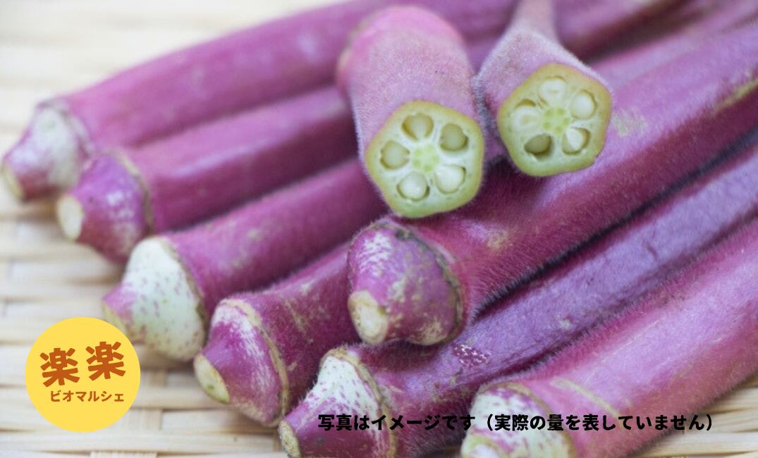 赤オクラ