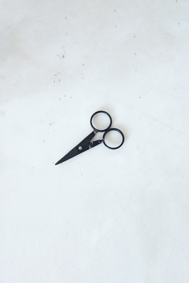 ハサミ / Scissors