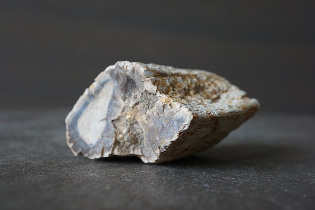 珪化木 ペトリファイドウッド Petrified Wood 1205~1210