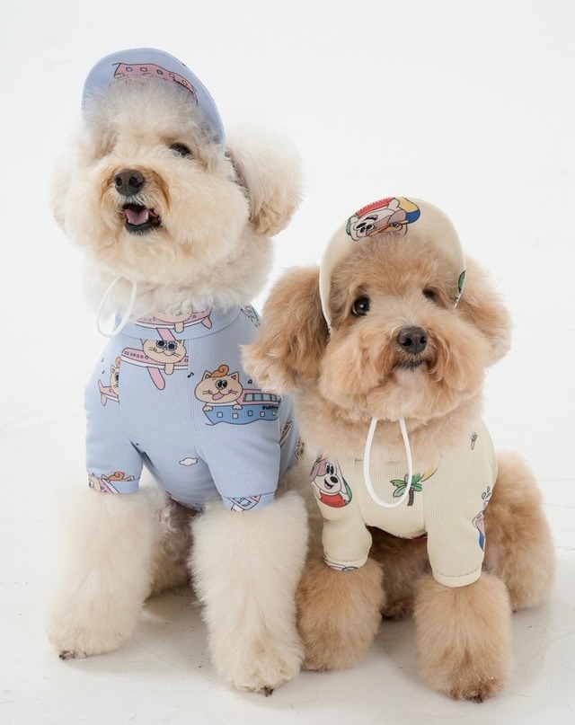 犬用帽子