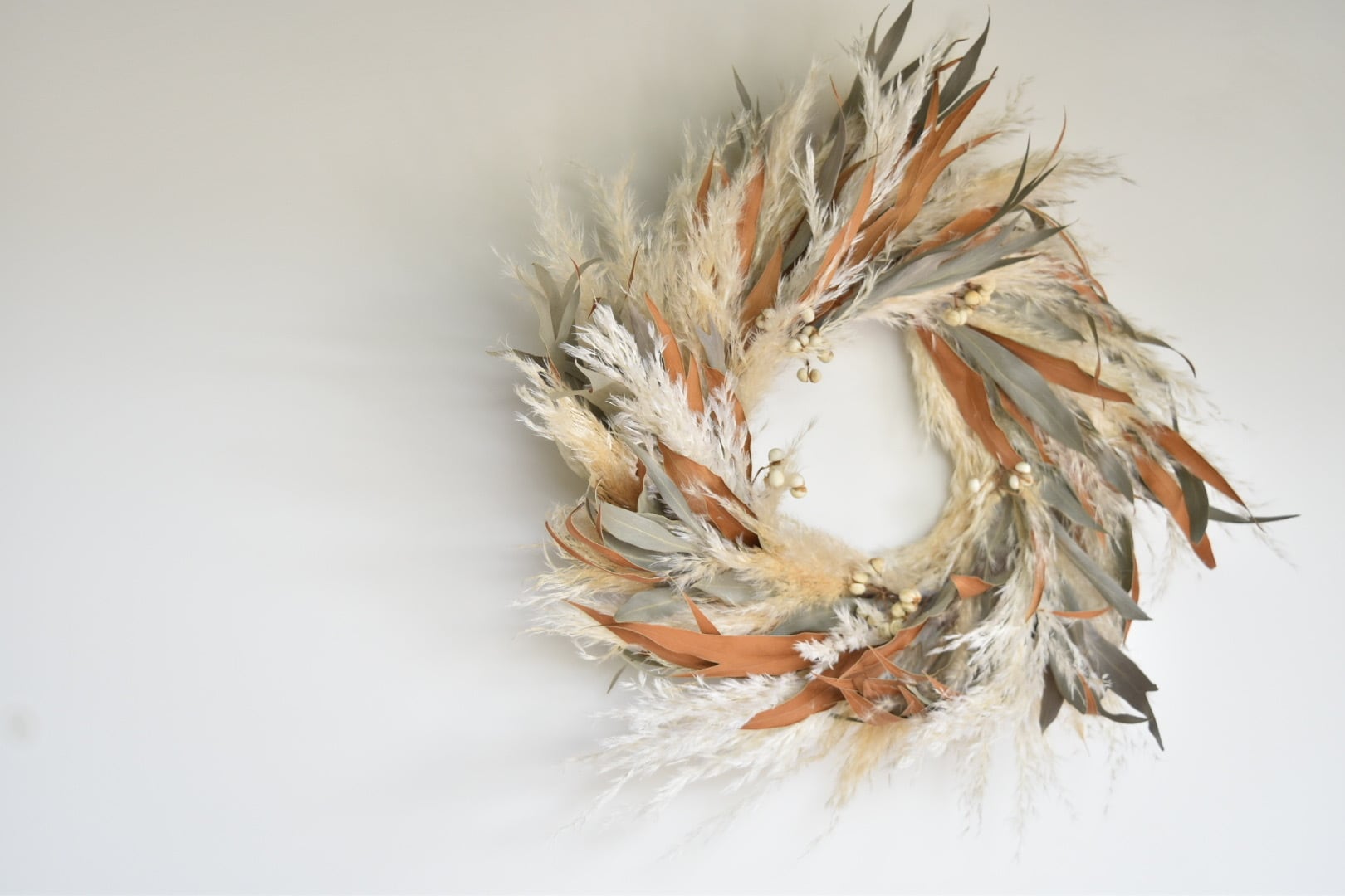 Grevillea gold × Pampasglass Wreath/グレビレアゴールド/パンパスグラス/リース | GraceUp_Green powered by BASE