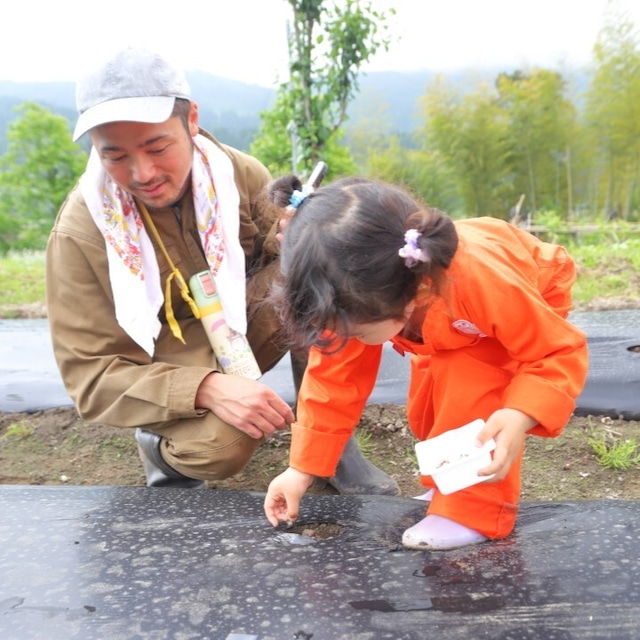 【2024年5月11日開催】いといがわコットンプロジェクト：綿花の畑にタネをまこう！& 早川ピクニック