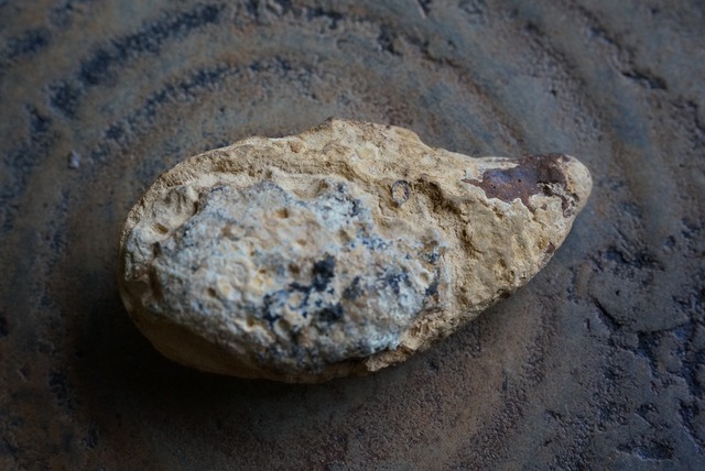 ゴビアゲート Gobi Desert Eye Agate 652