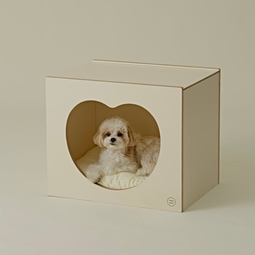 □ roman mood | LUANA DOG