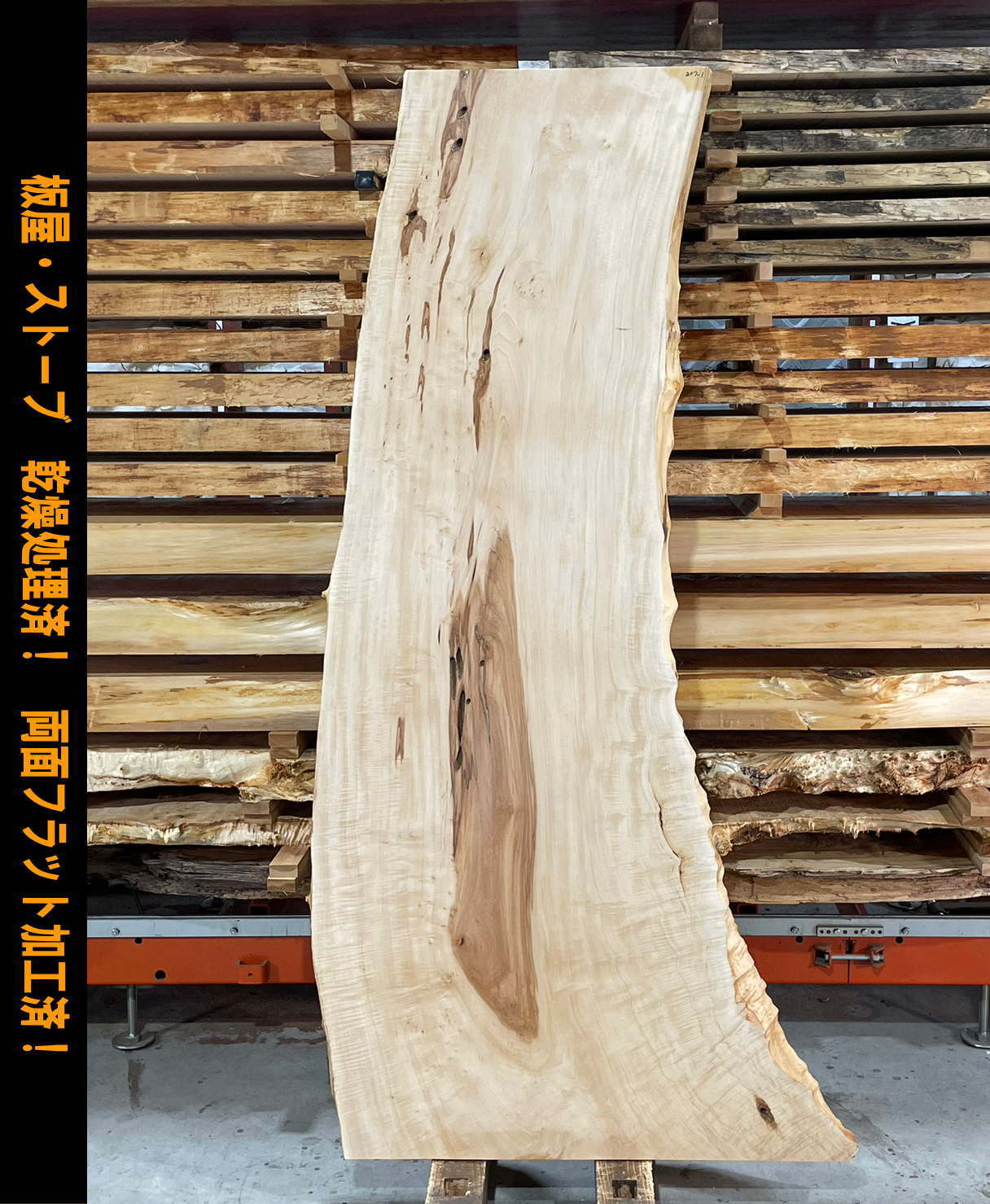 メール便送料無料05 パドック 812-1 一枚板 両面フラット加工済! 棚板
