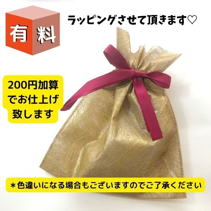 三種のミニ天珠＆チベット産モリオン約14.5～14.6mmブレスレット☆687A