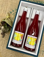 ◆ワイン用デラウェアジュース2本ギフトBOX◆ アグリクール (上山市)【2025 Bisou delaware】2本入りギフト
