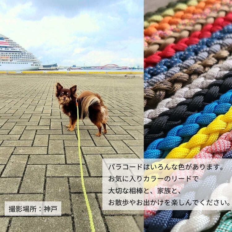 ⭐︎ご紹介ページ⭐︎犬のお散歩　迷子防止　リードストラップ　パラコード製 お散歩リード 120cm パラコード リード 犬 引き紐 / ベージュ革