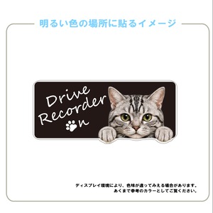 アメリカンショートへアー・アメショー・猫・ドライブレコーダー・横型・おしゃれ・撮影中・車・ステッカー・インクジェット印刷・屋外用・猫好き・ドライブグッズ・監視しています