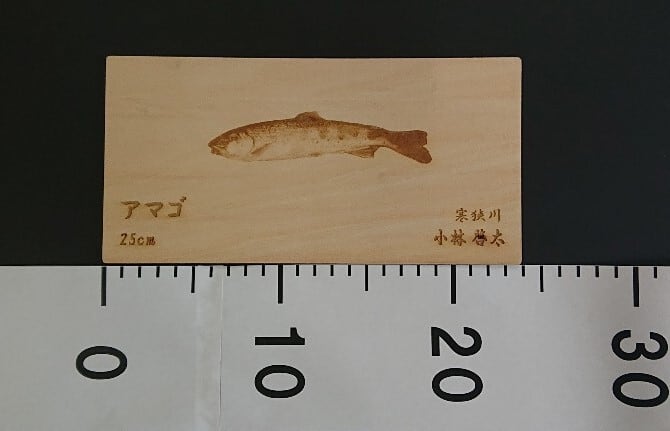 小・薄サイズ】シナベニヤ製 オリジナル魚拓【250～450mmの魚に