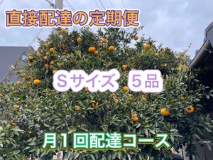 直接配達の定期便　Sサイズ 5品 月1回配達 自動更新