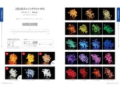 【2025-2026】 VISION 向陽プランニングカタログ（イルミネーション・ジャイアントフラワー）