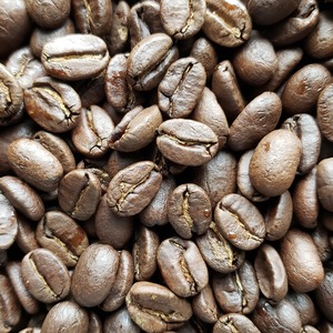 自家焙煎コーヒー豆「コロンビア　中煎り（サンアグスティン マグダレナ SUP）」100g