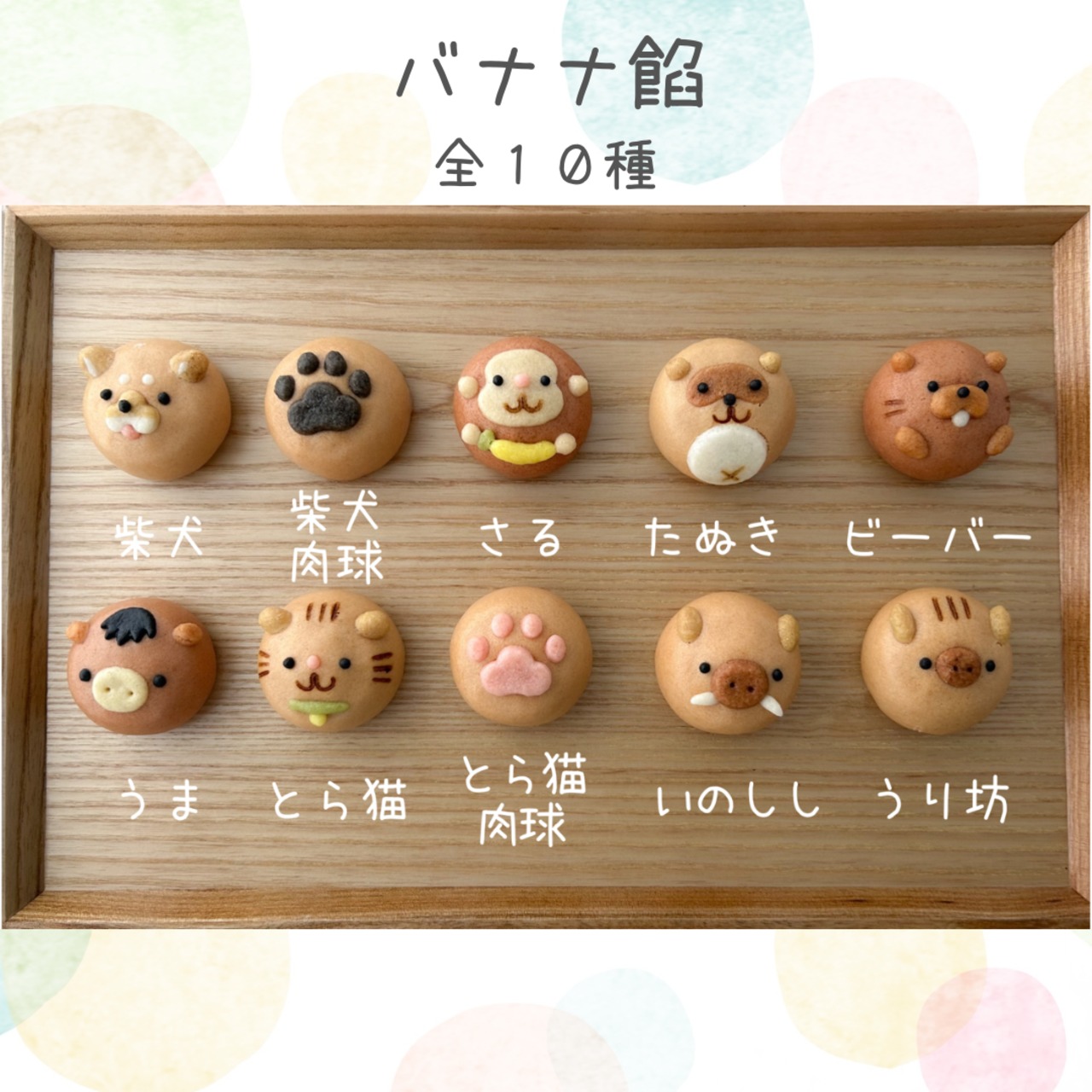 【選べる】まんまる動物まんじゅう12個入
